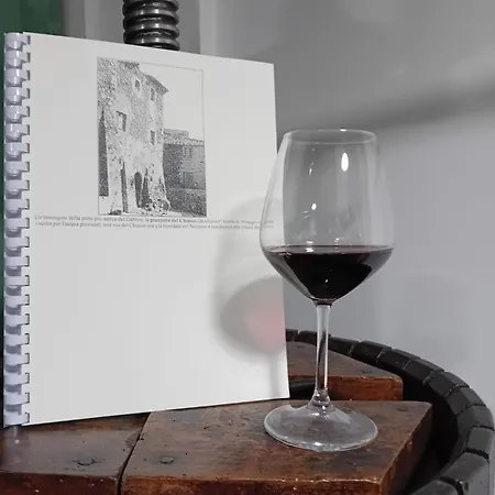 شقة Casa Chiasso Gabbro